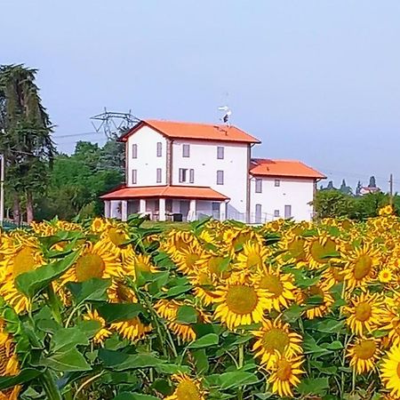 La Collinetta B&B Crespellano Екстер'єр фото