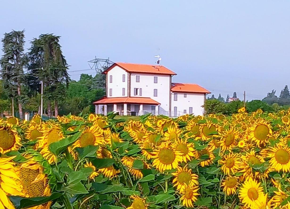 La Collinetta B&B Crespellano Екстер'єр фото