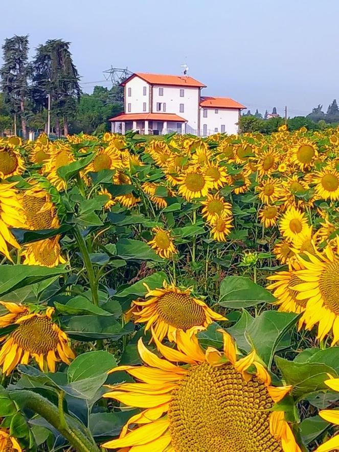 La Collinetta B&B Crespellano Екстер'єр фото