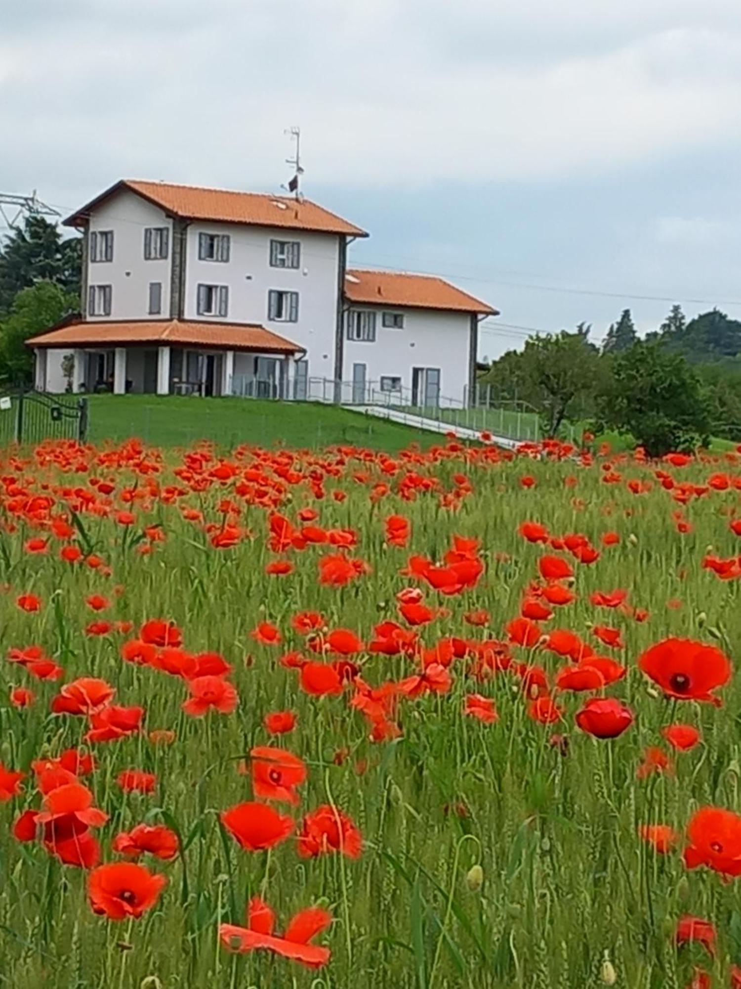 La Collinetta B&B Crespellano Екстер'єр фото